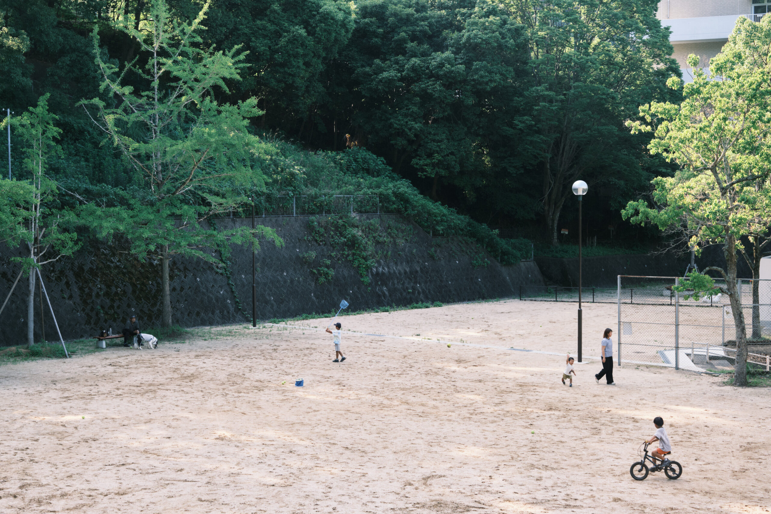 写真4