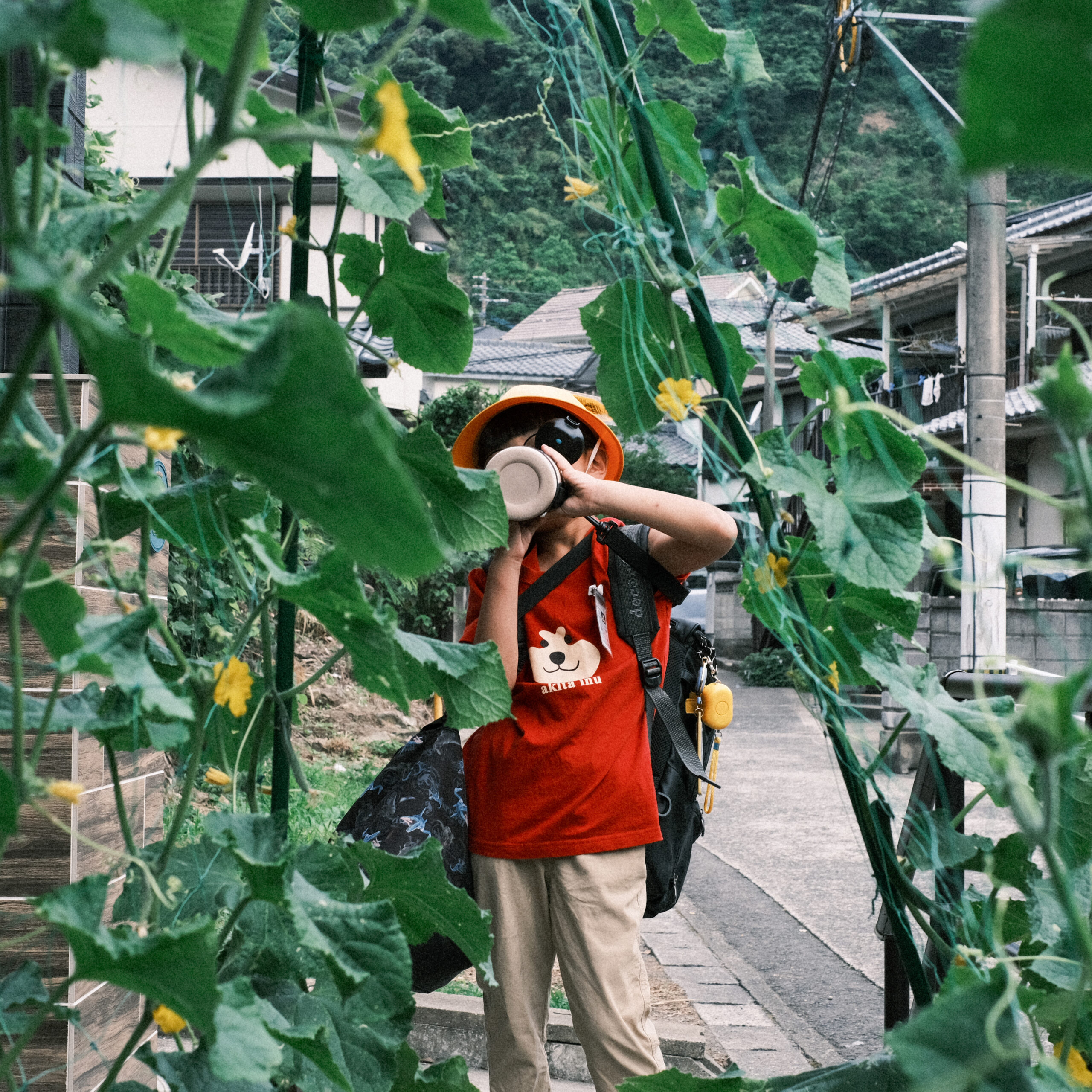 夏
