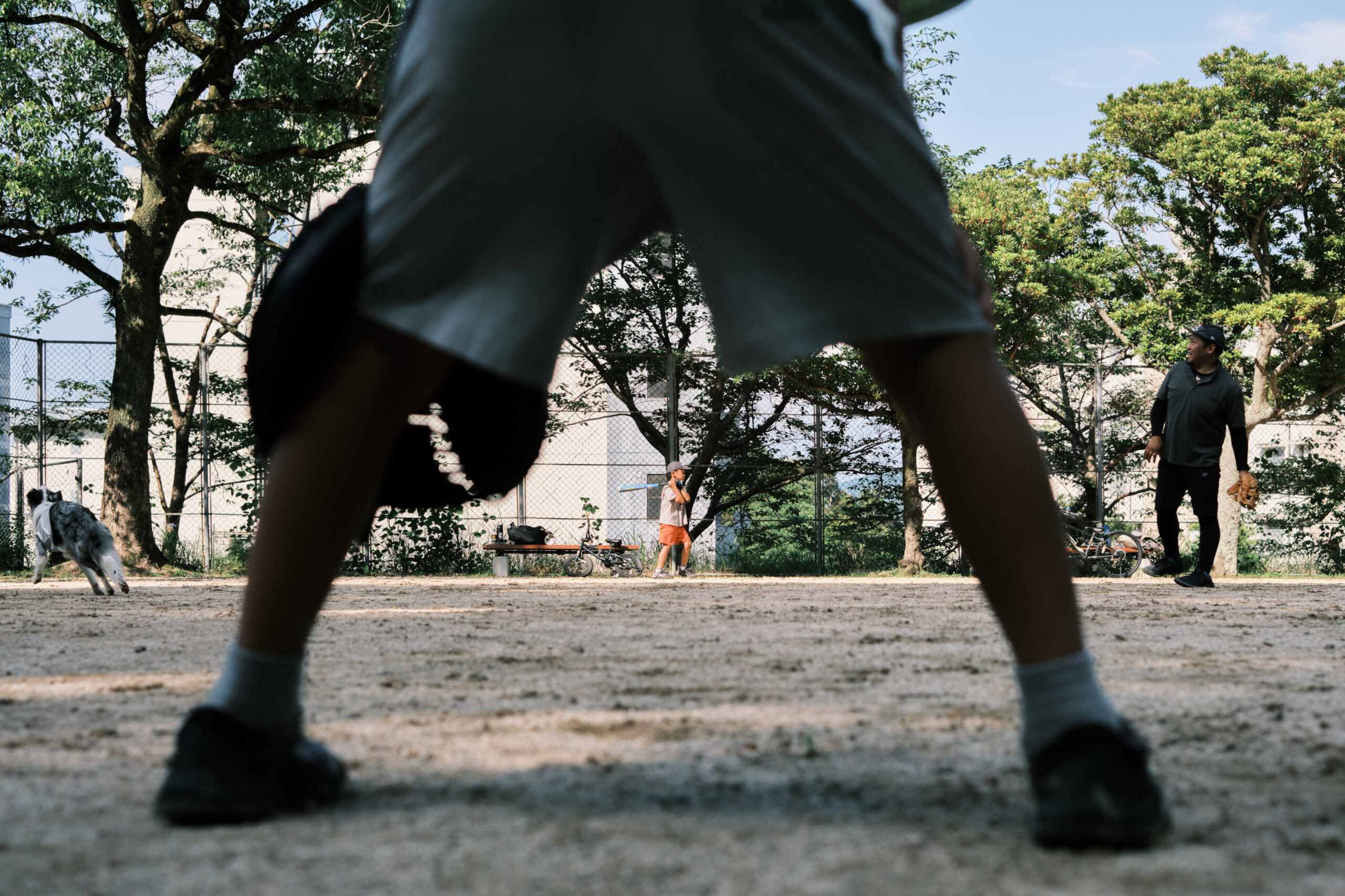 写真2