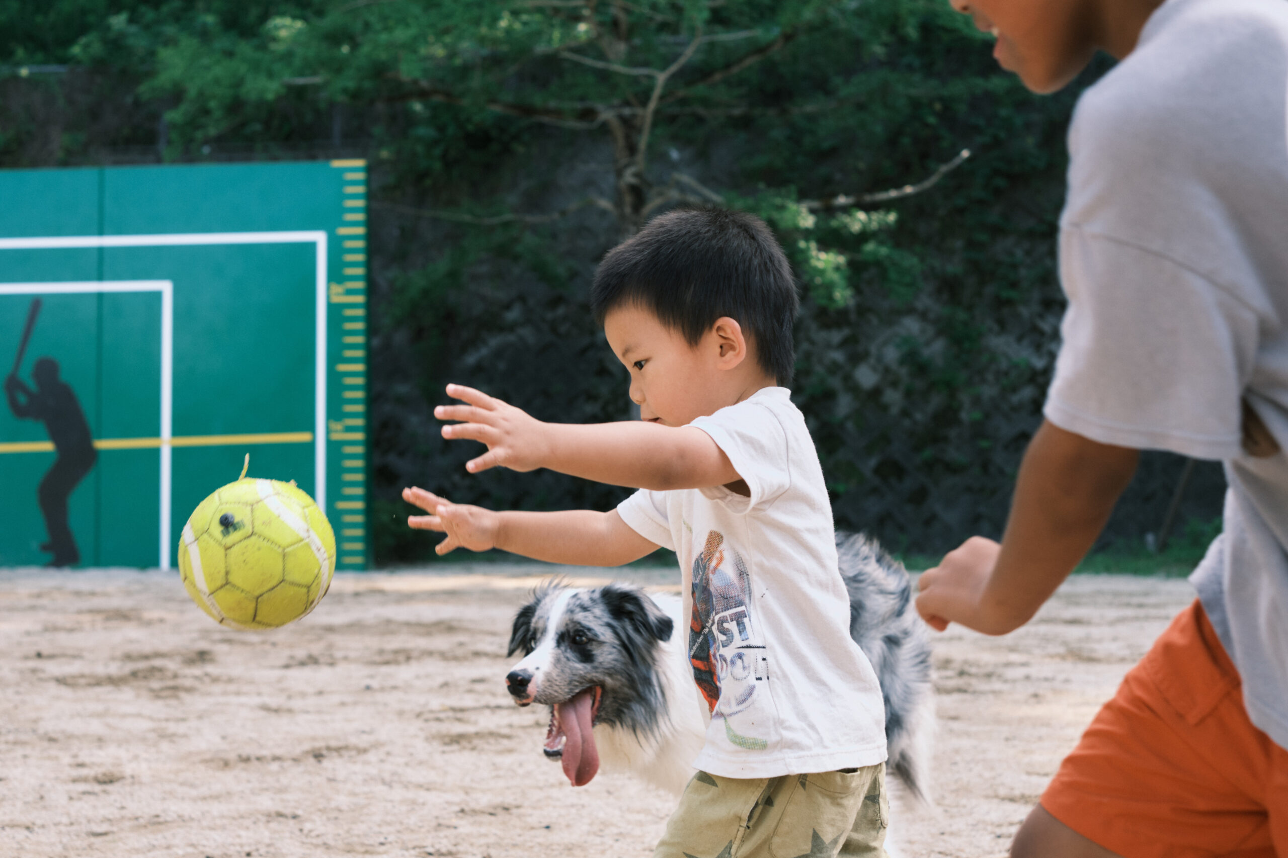 写真3