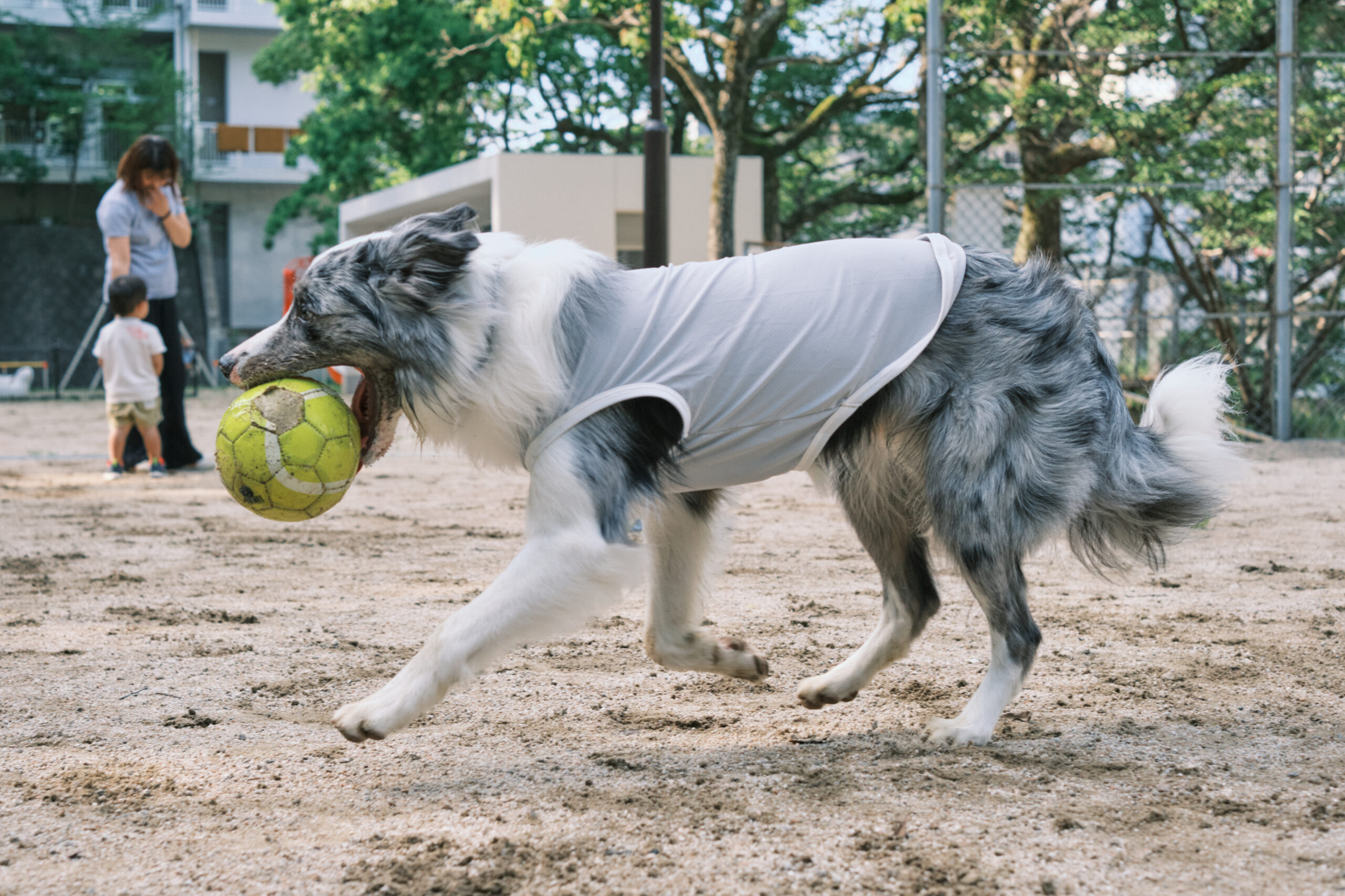 写真4